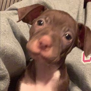 Meet your Posher, Donna